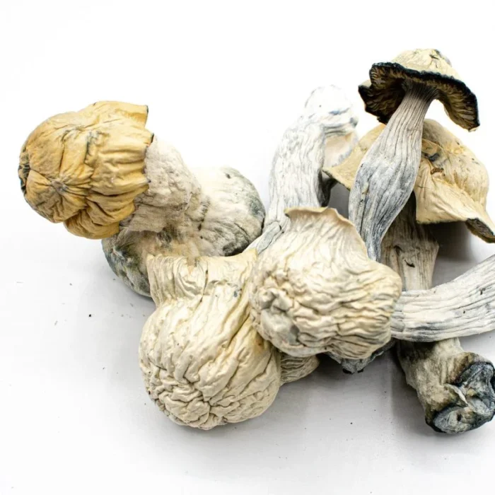 Pearly Gates Mushrooms For Sale In UK